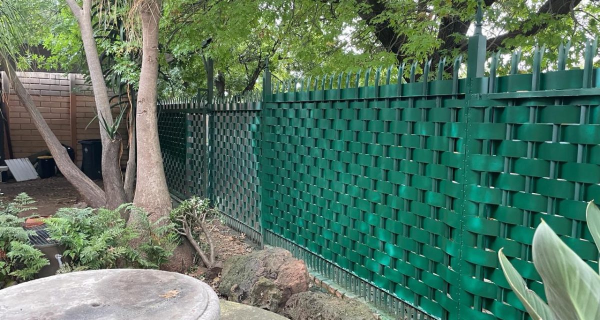 WhatsApp Image 2024-02-13 at 11.57.08(3)