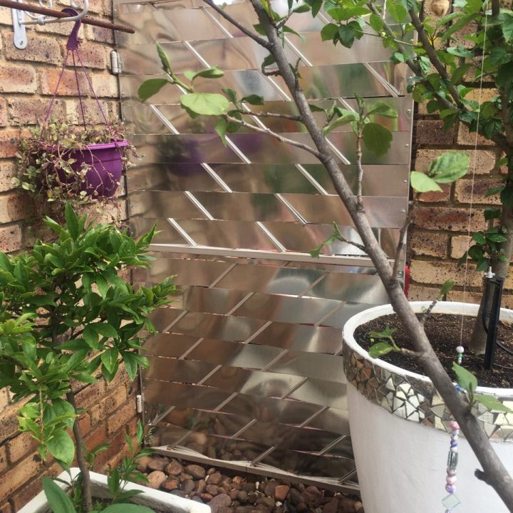 WhatsApp Image 2024-02-19 at 10.05.17