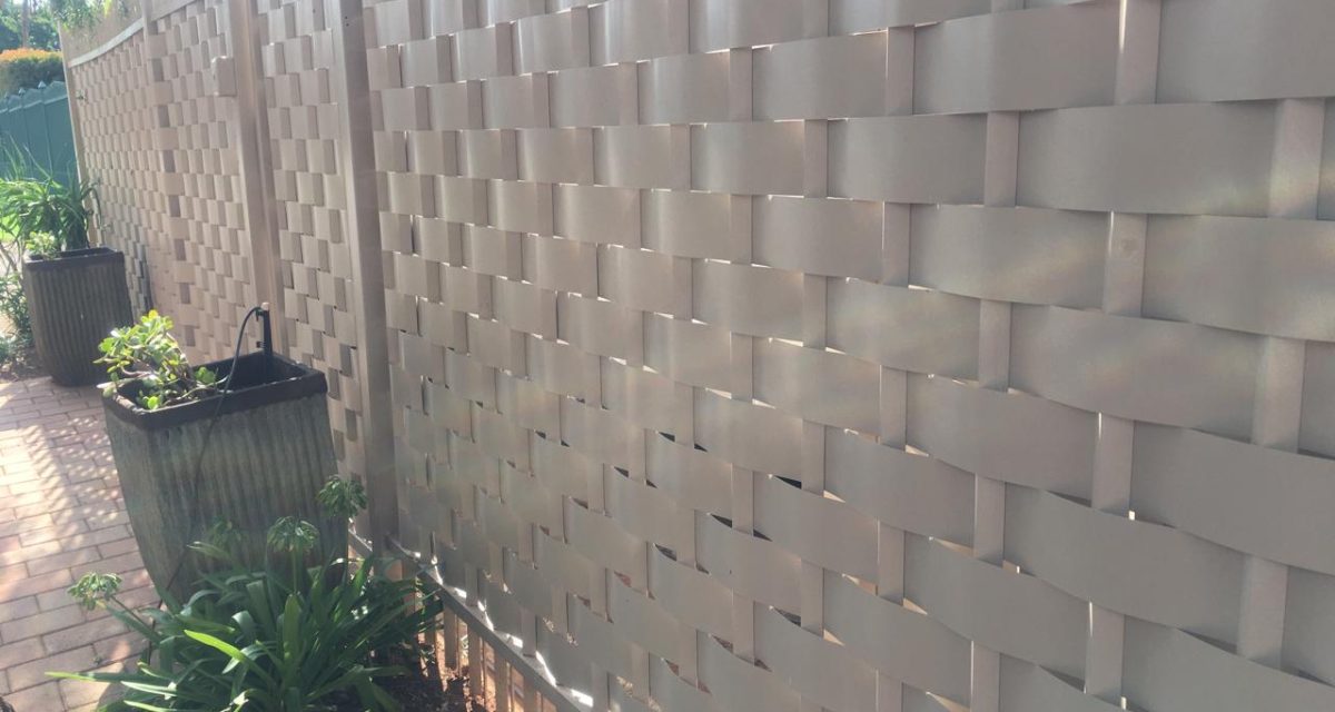 WhatsApp Image 2024-02-20 at 11.24.59